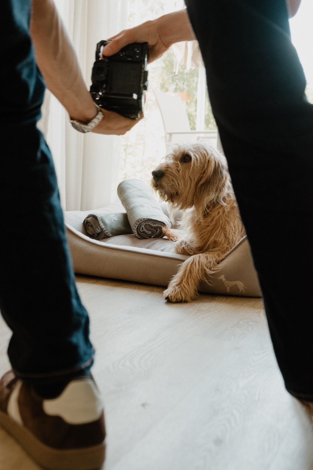 Behind the scenes, Lorenz Groche